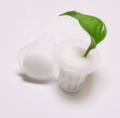 Small Size Injection Molded Plastic PP Net Pots for Hydroponic Greenhouse Cultivation