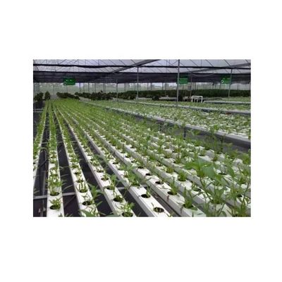 Customizable NFT Pipes PVC Channel 2 Meters Length 100x50mm for Hydroponic Growing