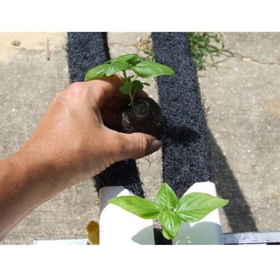 Customized PVC Pipe Vertical Tower Grow Channel Growing System for Vertical Farming