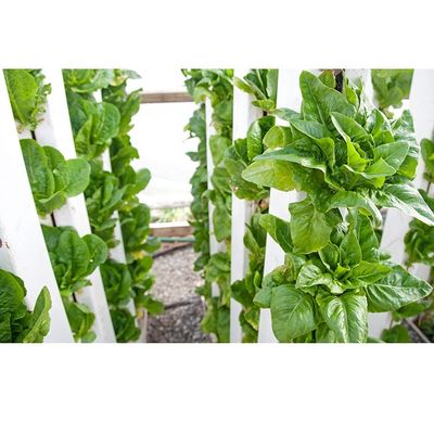 Customized PVC Pipe Vertical Tower Grow Channel Growing System for Vertical Farming