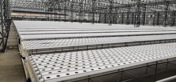 100mm*50mm Eco-friendly Plastic Tube for Hydroponic Vegetable Cultivation in Aquaponics