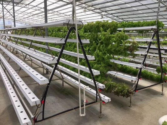 Plastic Modling Type Hydroponic Cultivation System Pvc Pipe for Year-round Harvest