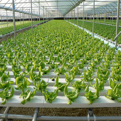 Customize PVC NFT hydroponic pipe for water planting tube in round rectangular shape