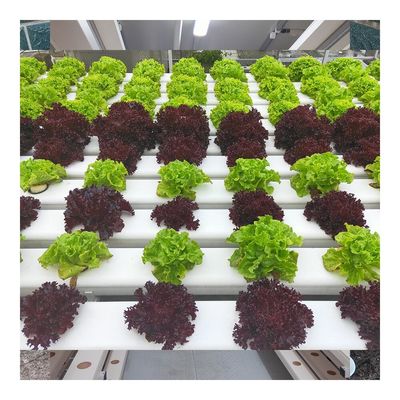 Customize PVC NFT hydroponic pipe for water planting tube in round rectangular shape