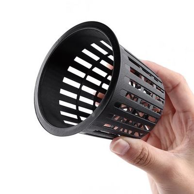 Revolutionize Your Hydroponic Vegetable Growing with Nontoxic Net Pots in Many Sizes