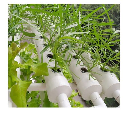 2" 3" 4" Hydroponic System Growing Plant Aquaponic Net Pot Durable Slotted Mesh Design