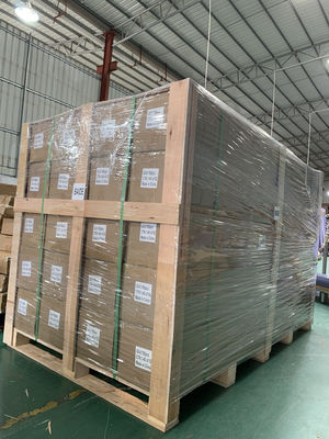 Sealing Strip PVC Board with Co Extrusion Technology Processed by Moulding Service