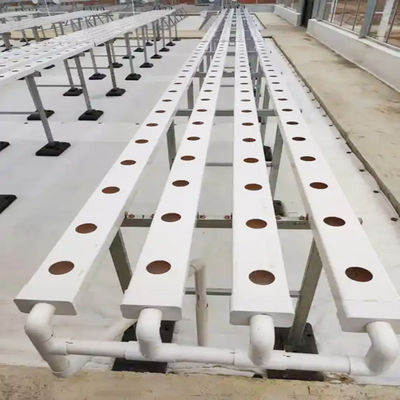 Square Rectangle Shape Hydroponic NFT Growing System Many Sizes and Full Raw Material