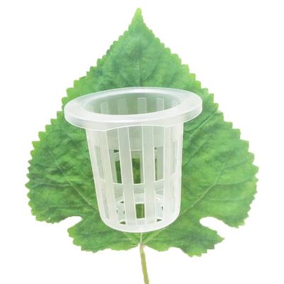 Hydroponic Aeroponic Lettuce Flower Plant Net Pot with Injection Processing Service